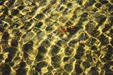 crab underwater in the sea with small waves and sand shapes