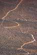 trail in Grand Canyon Park in Arizona